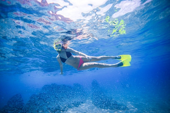 Authentic Experiences Curated by Cabo Luxury