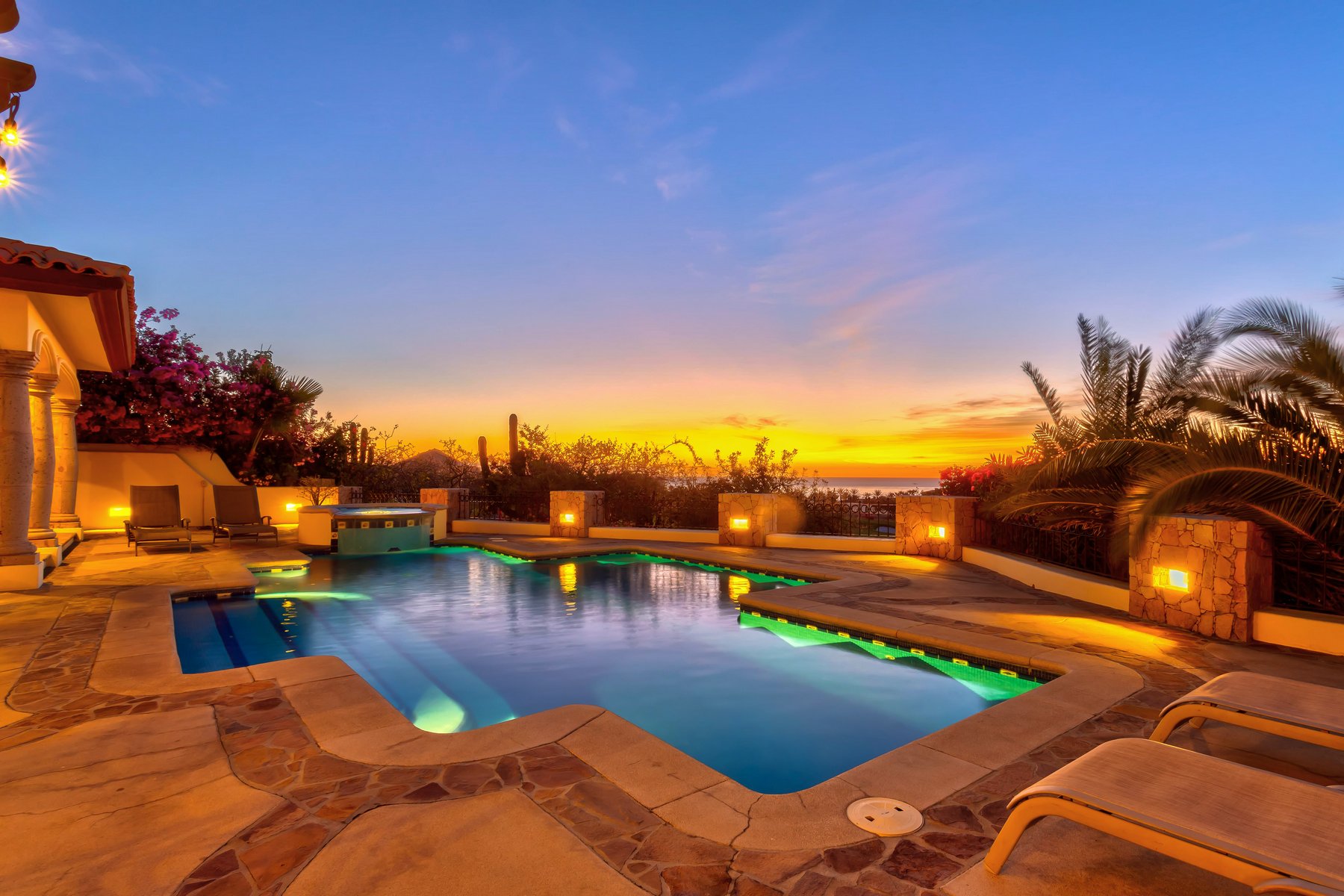 Agave Azul | Photo 75