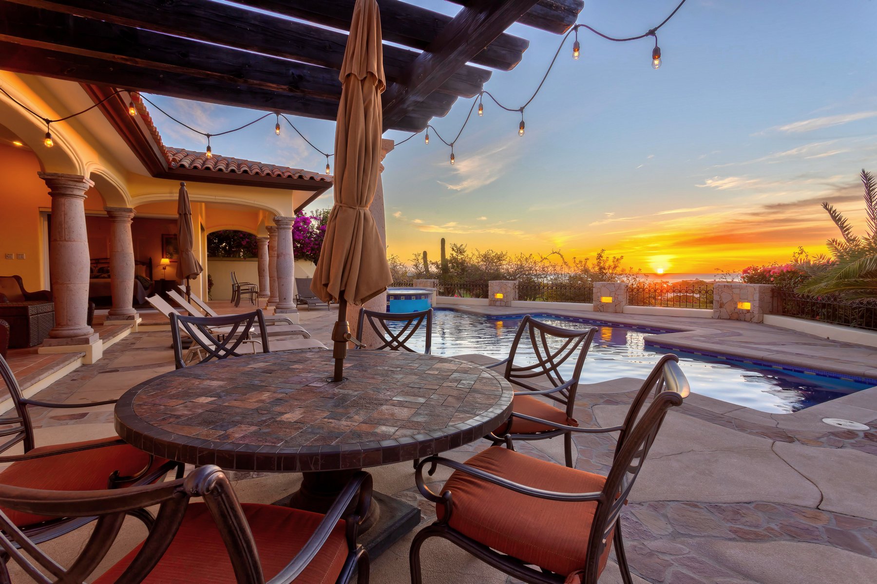 Agave Azul | Photo 78