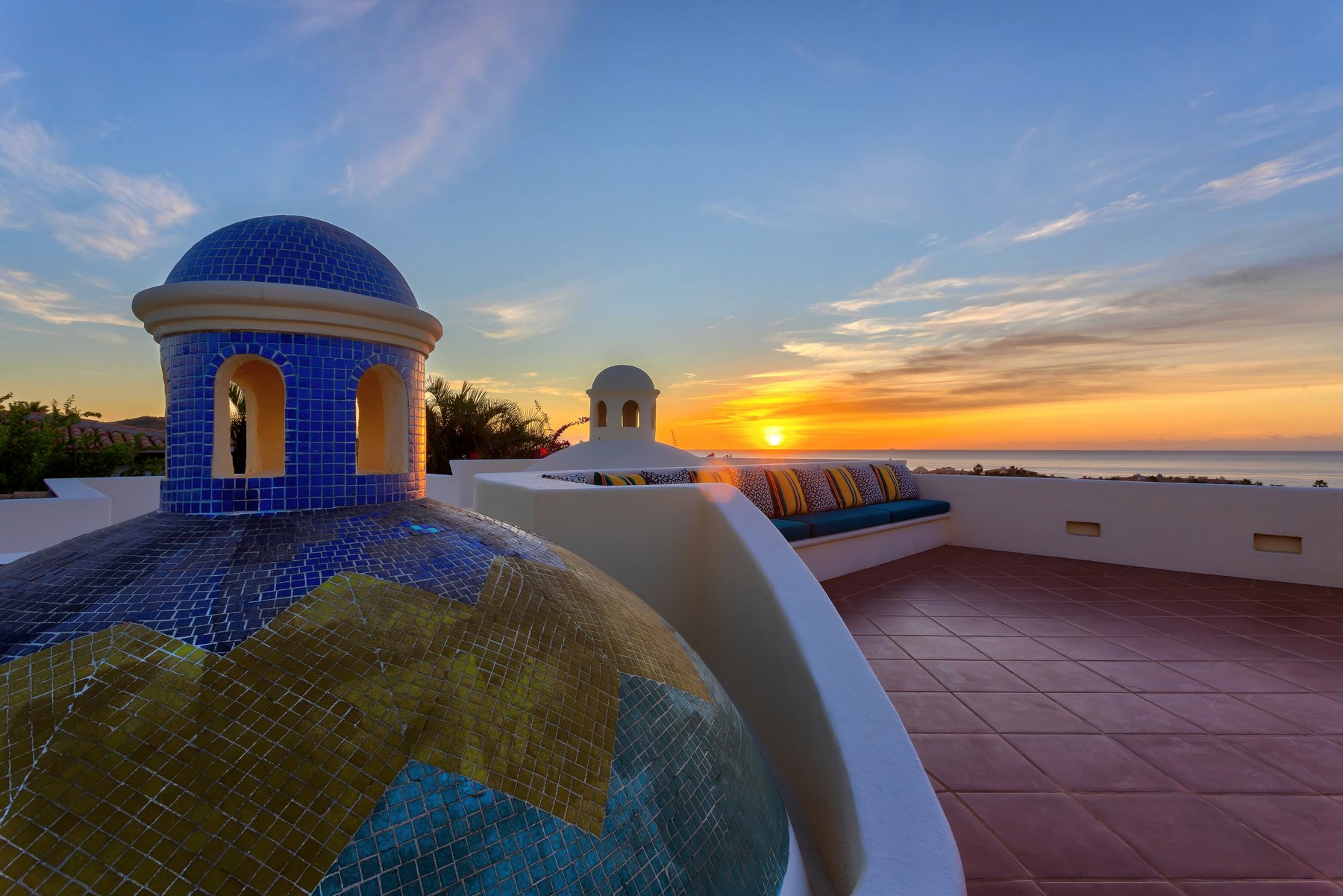 Agave Azul | Photo 79