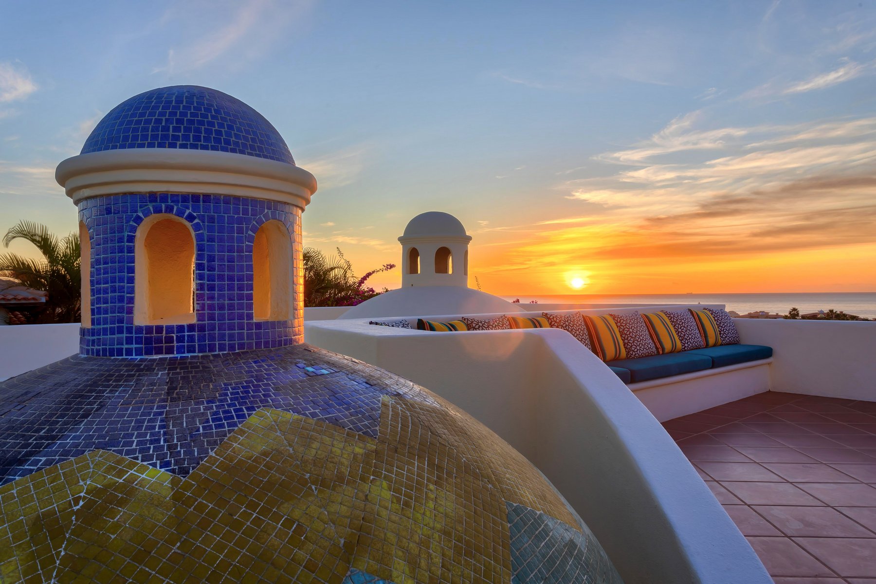 Agave Azul | Photo 80