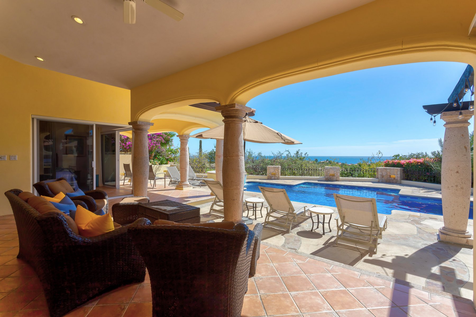 Agave Azul | Photo 43