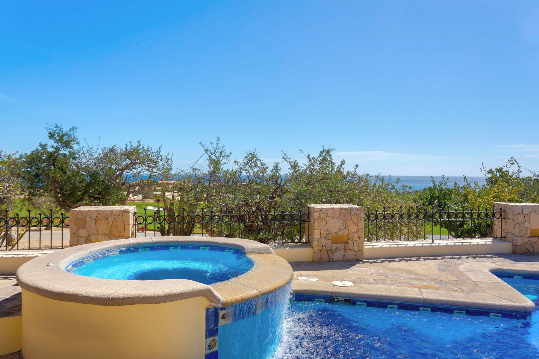 Agave Azul | Photo 50