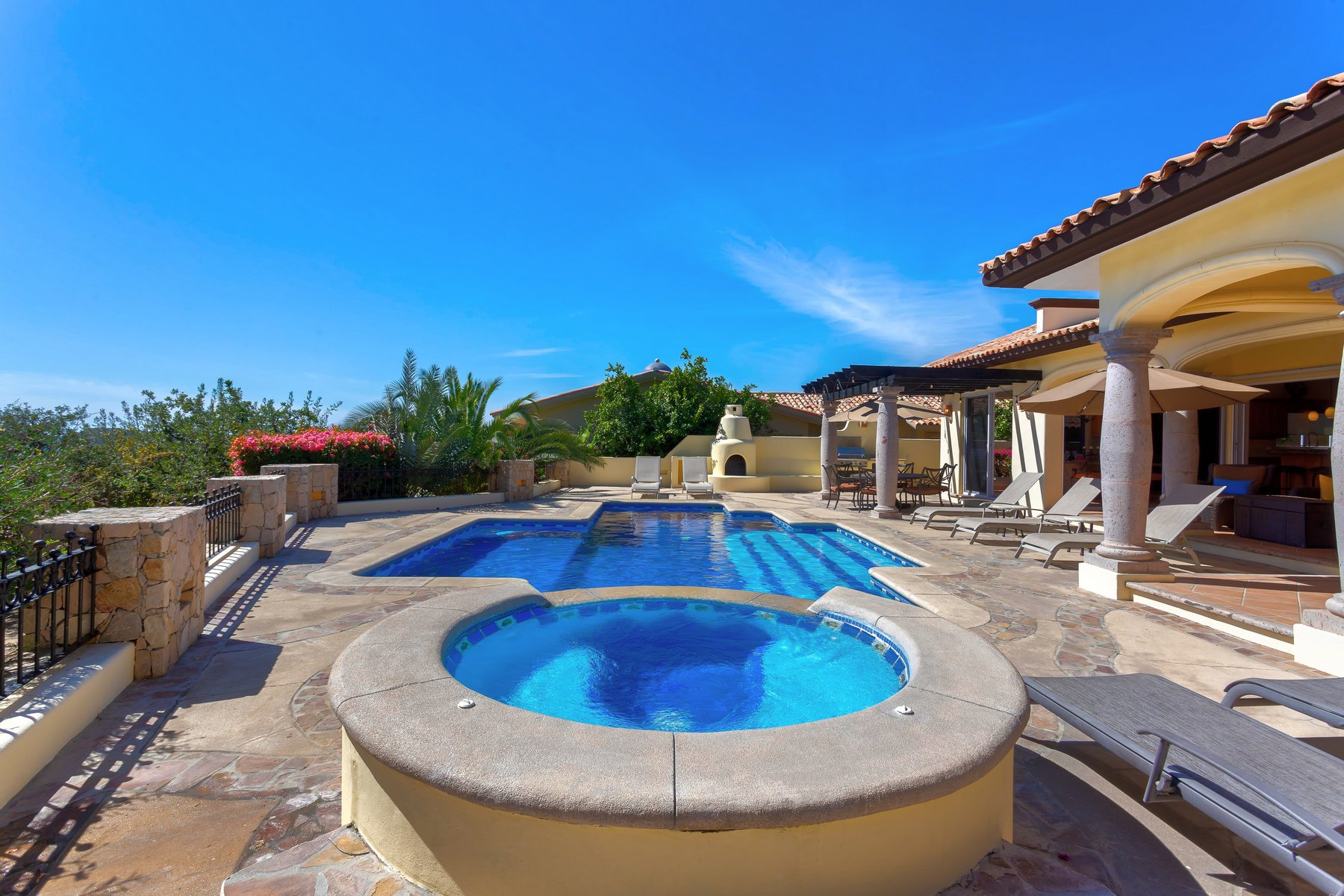 Agave Azul | Photo 49