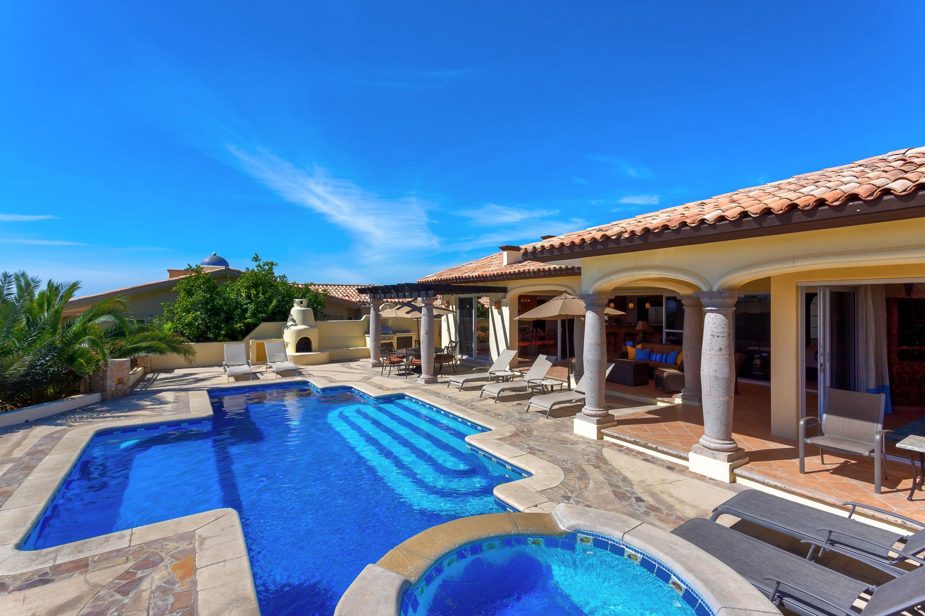 Agave Azul | Photo 48