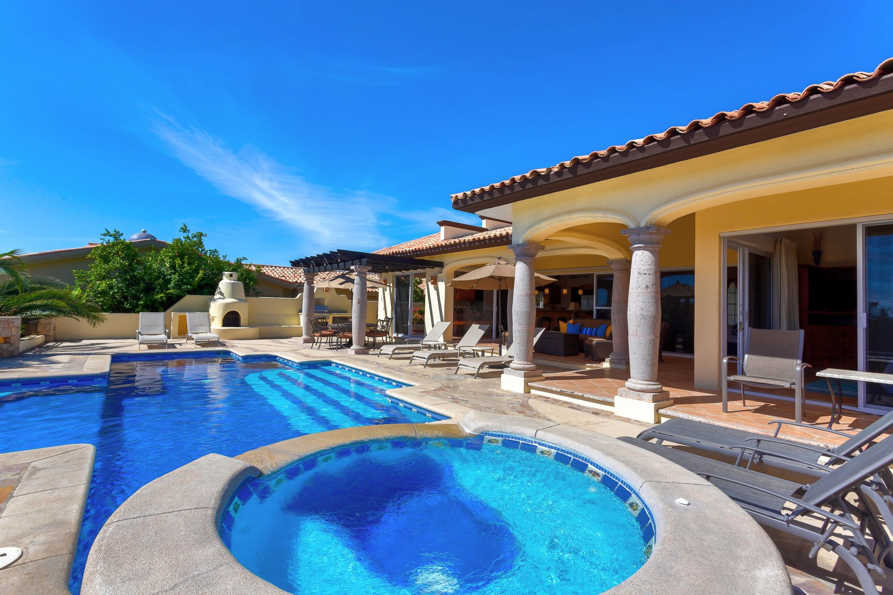 Agave Azul | Photo 47