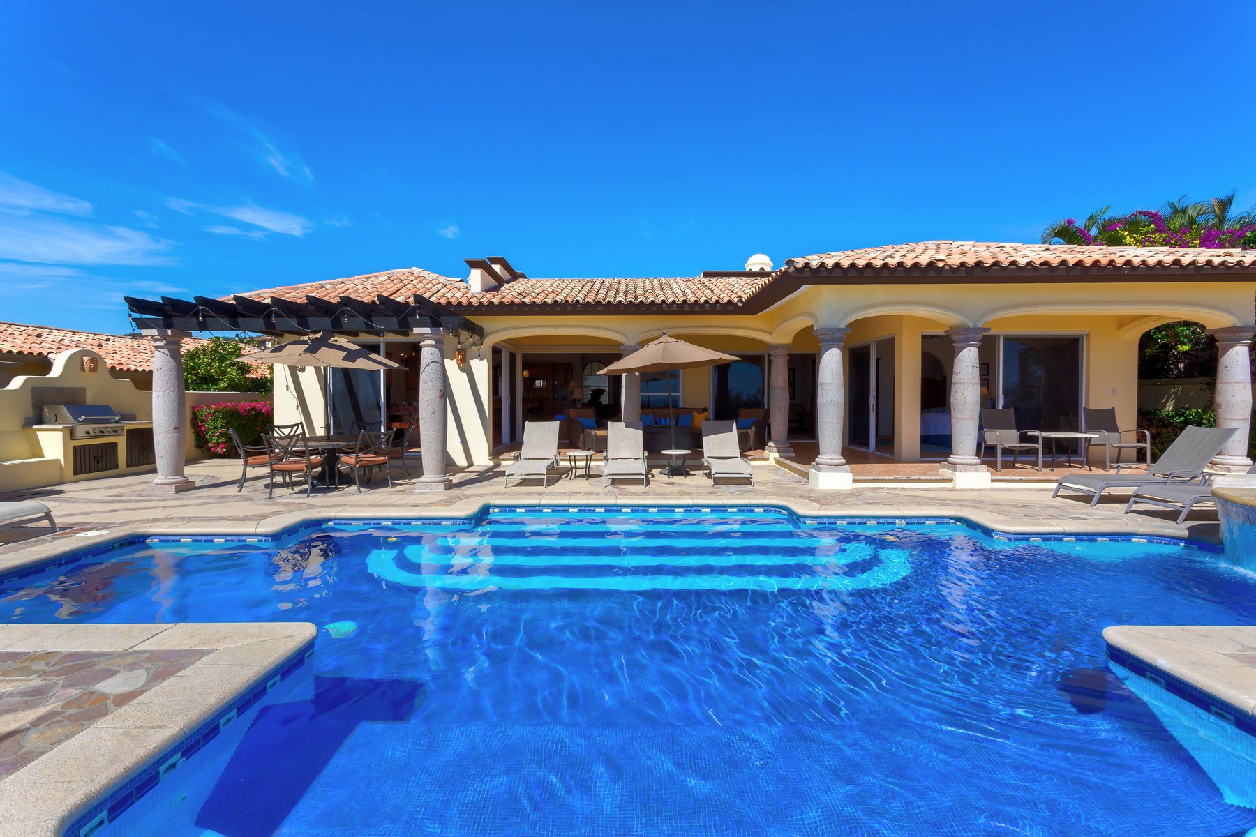 Agave Azul | Photo 46