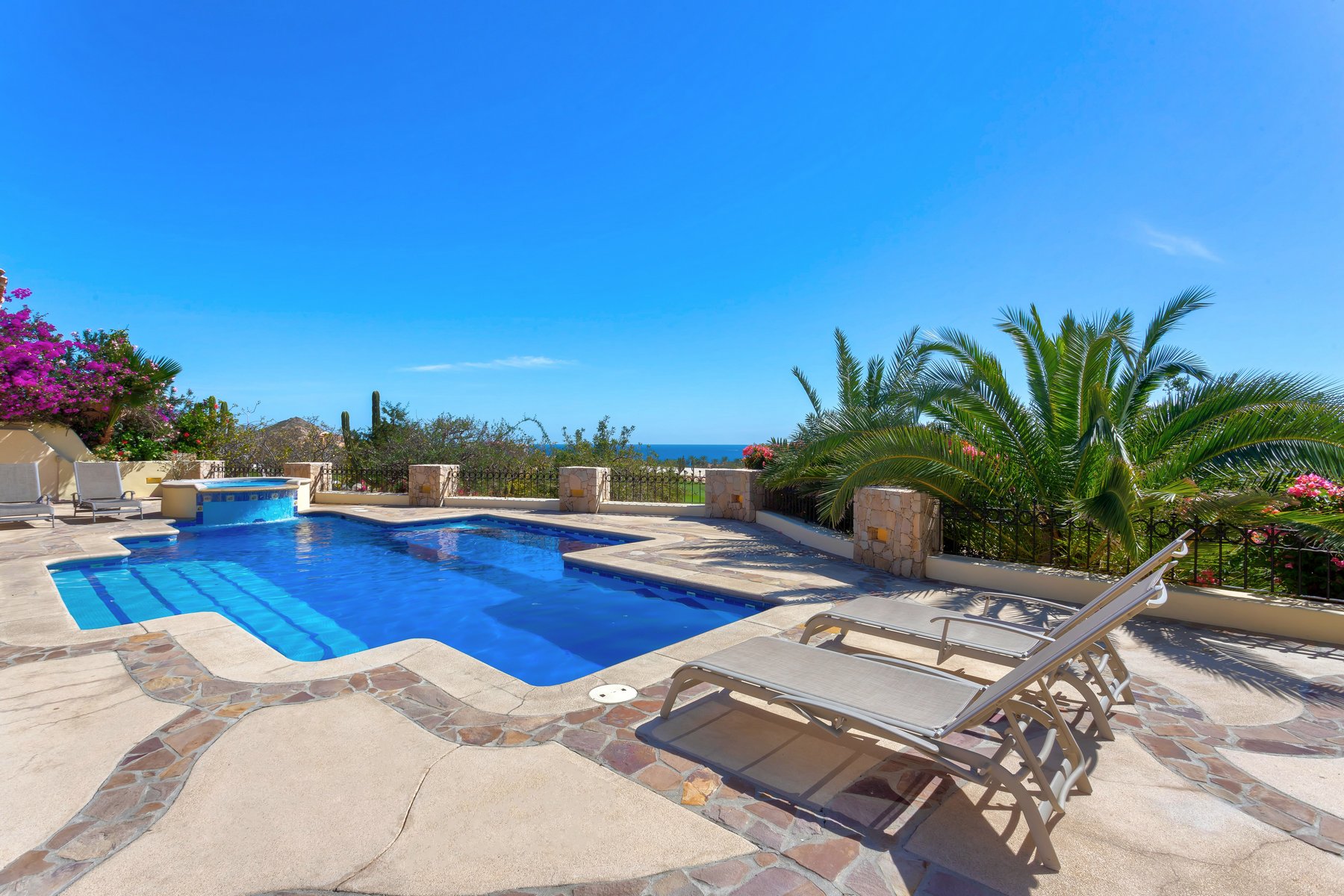 Agave Azul | Photo 52