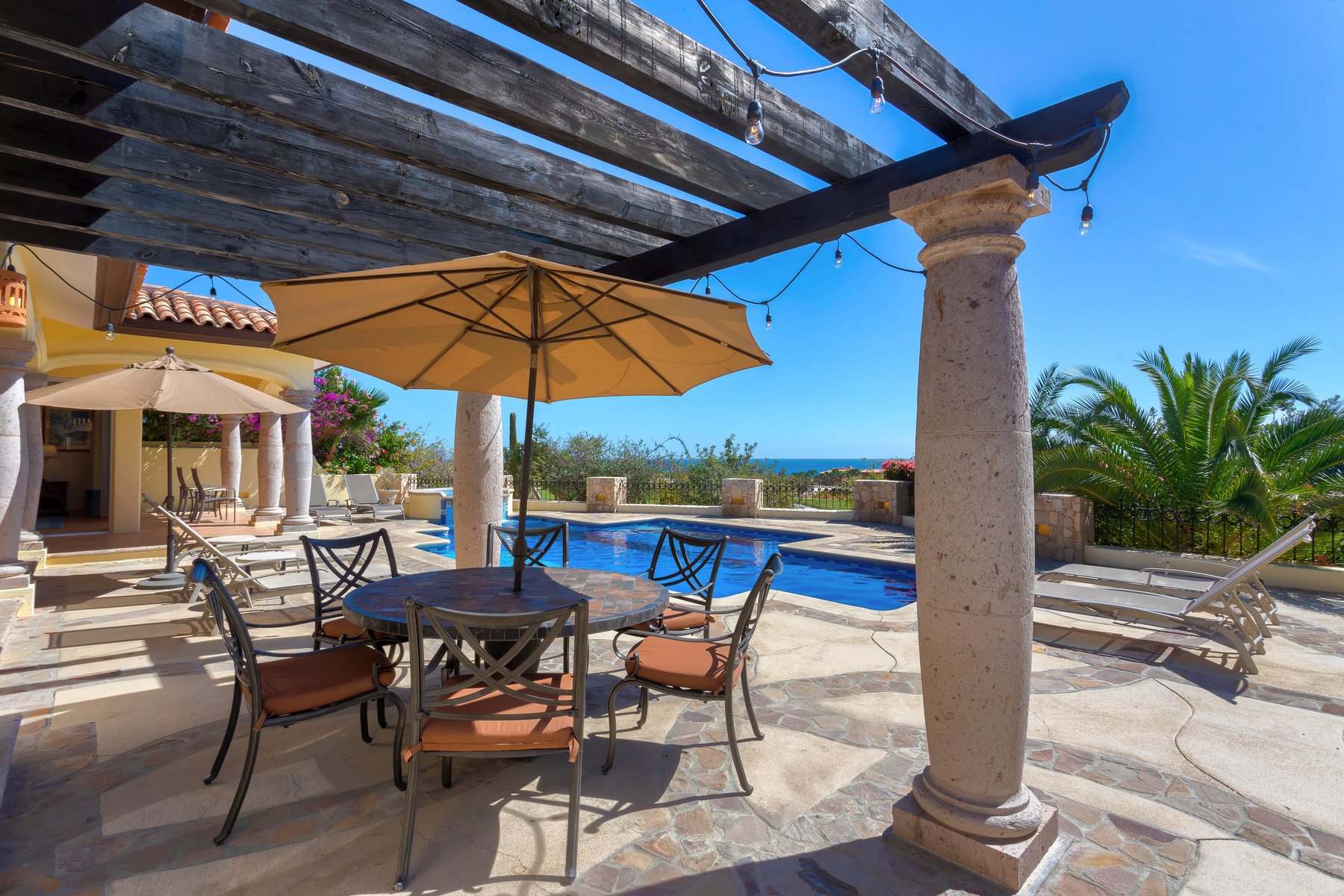 Agave Azul | Photo 45