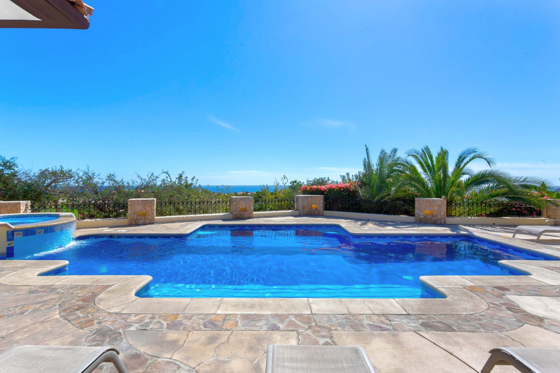 Agave Azul | Photo 53