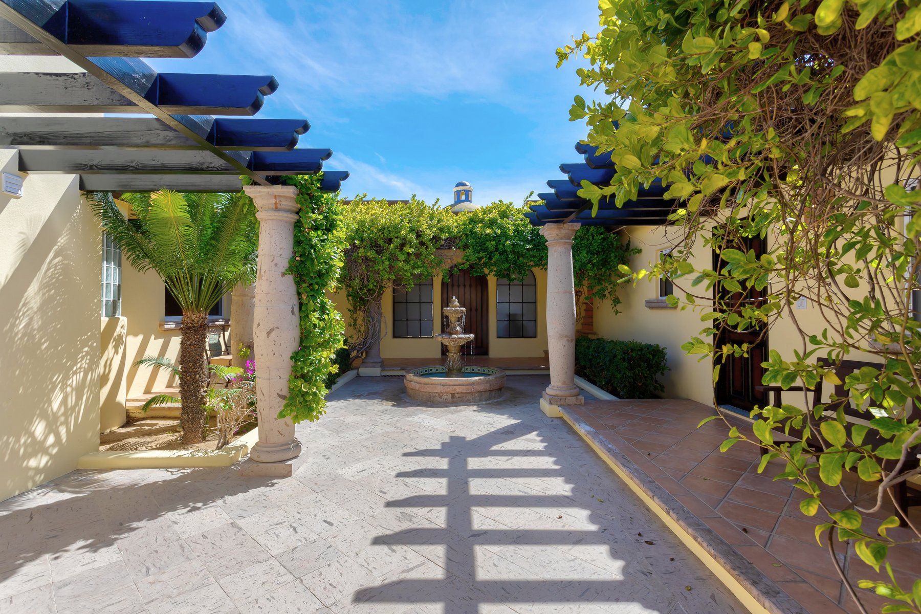 Agave Azul | Photo 57