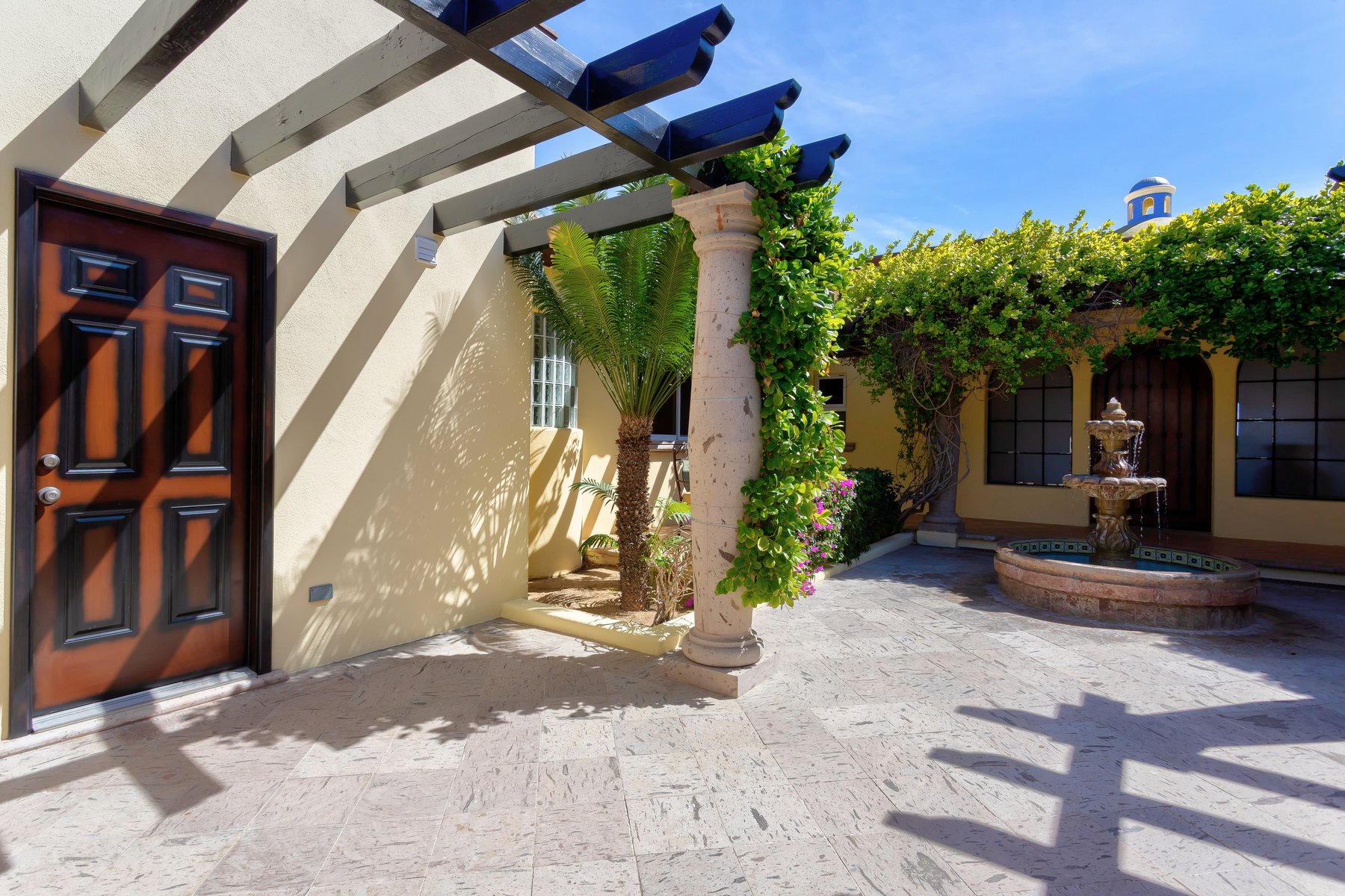 Agave Azul | Photo 58