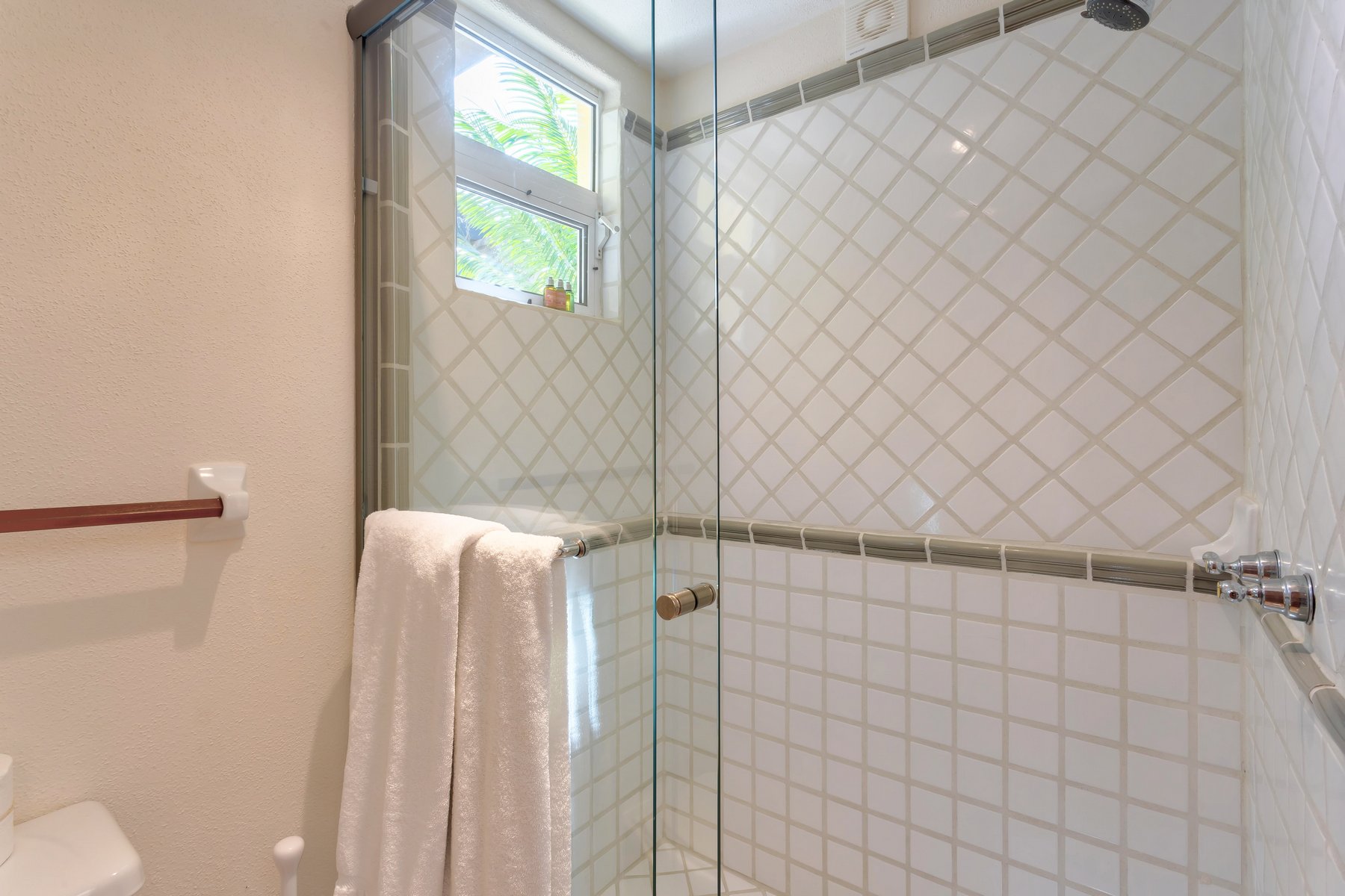 Agave Azul | Photo 34