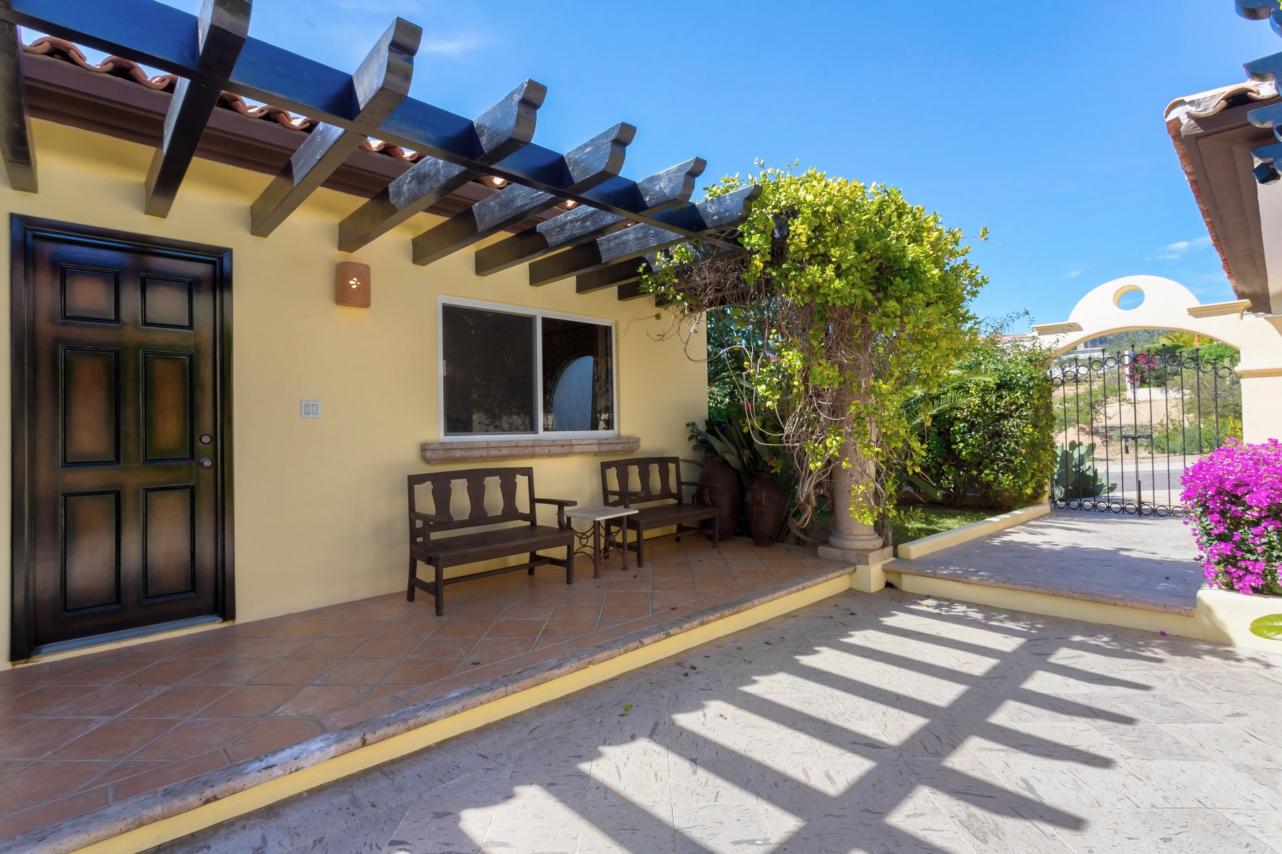 Agave Azul | Photo 59