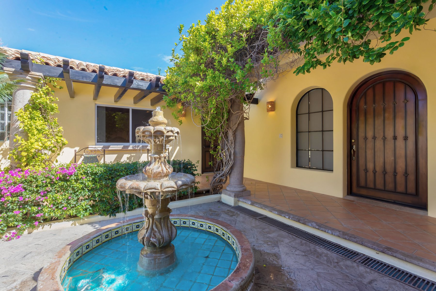 Agave Azul | Photo 60