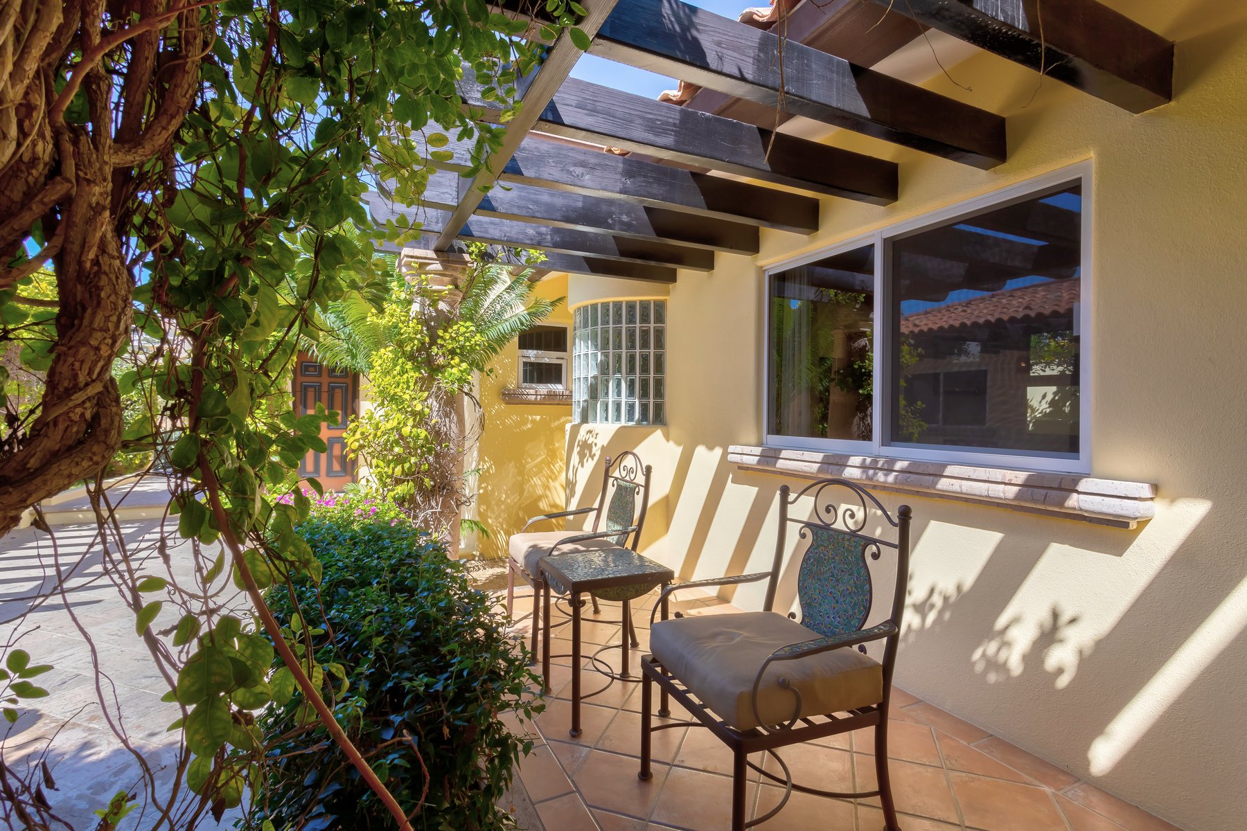 Agave Azul | Photo 61