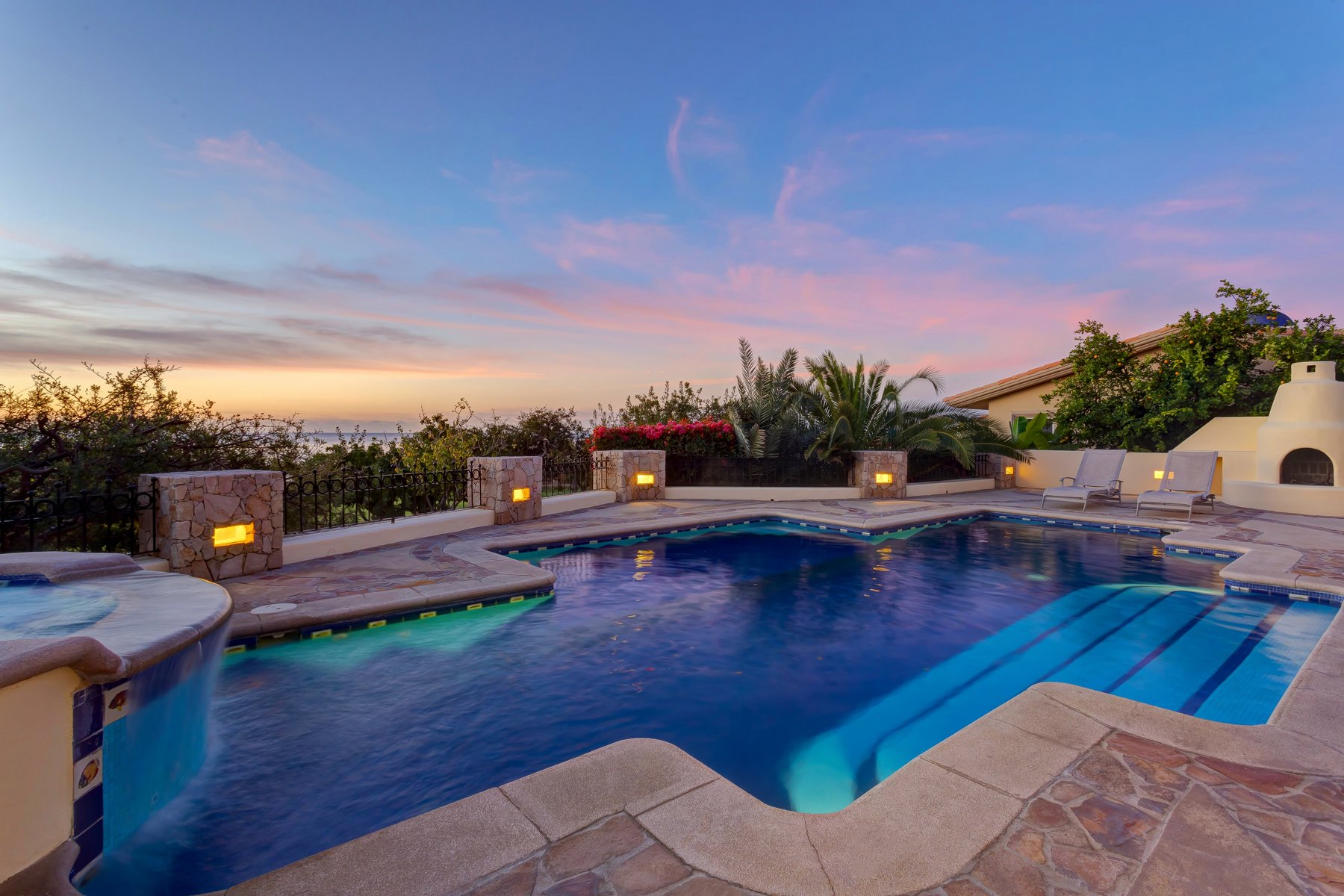 Agave Azul | Photo 68