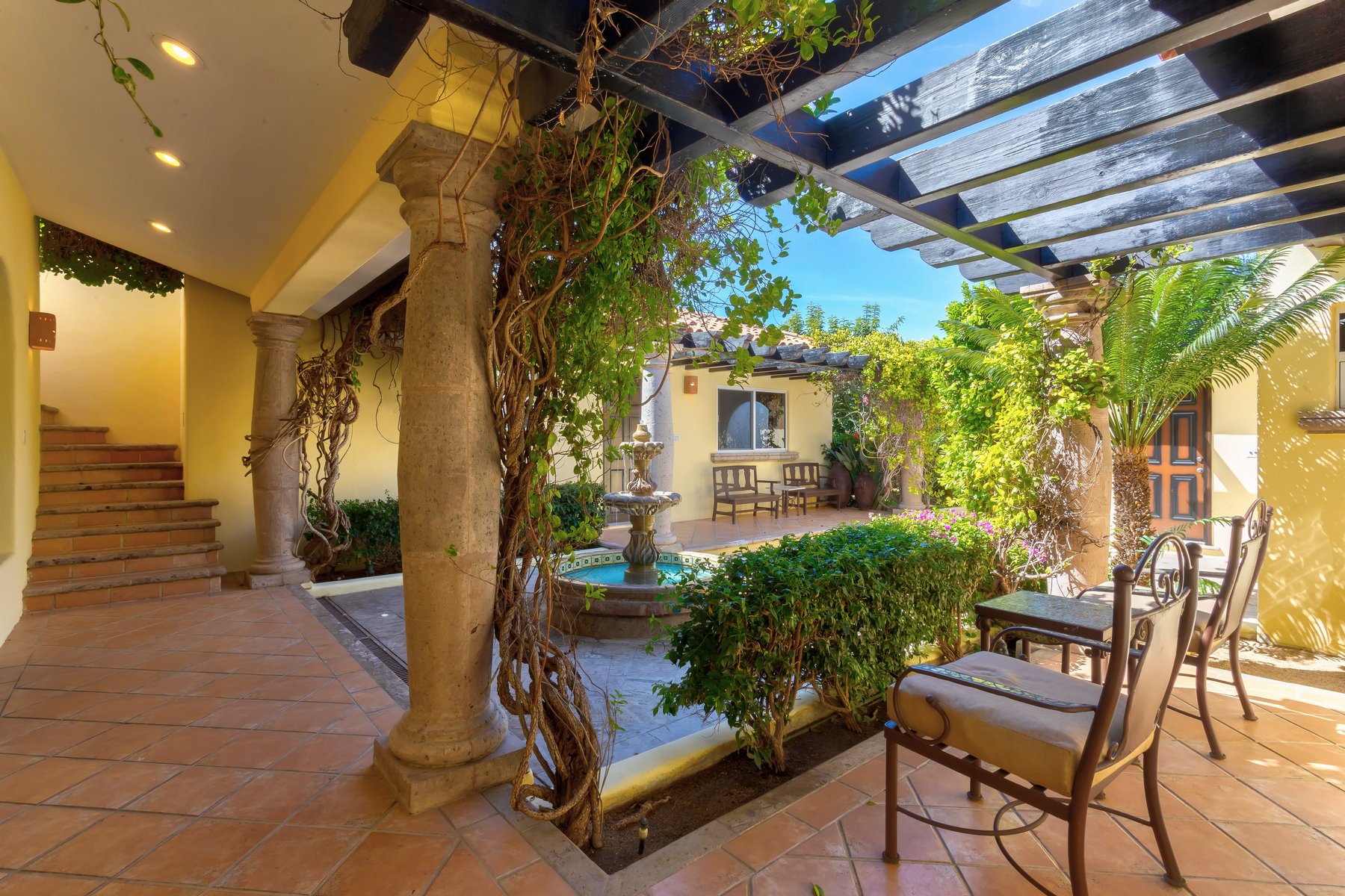 Agave Azul | Photo 62