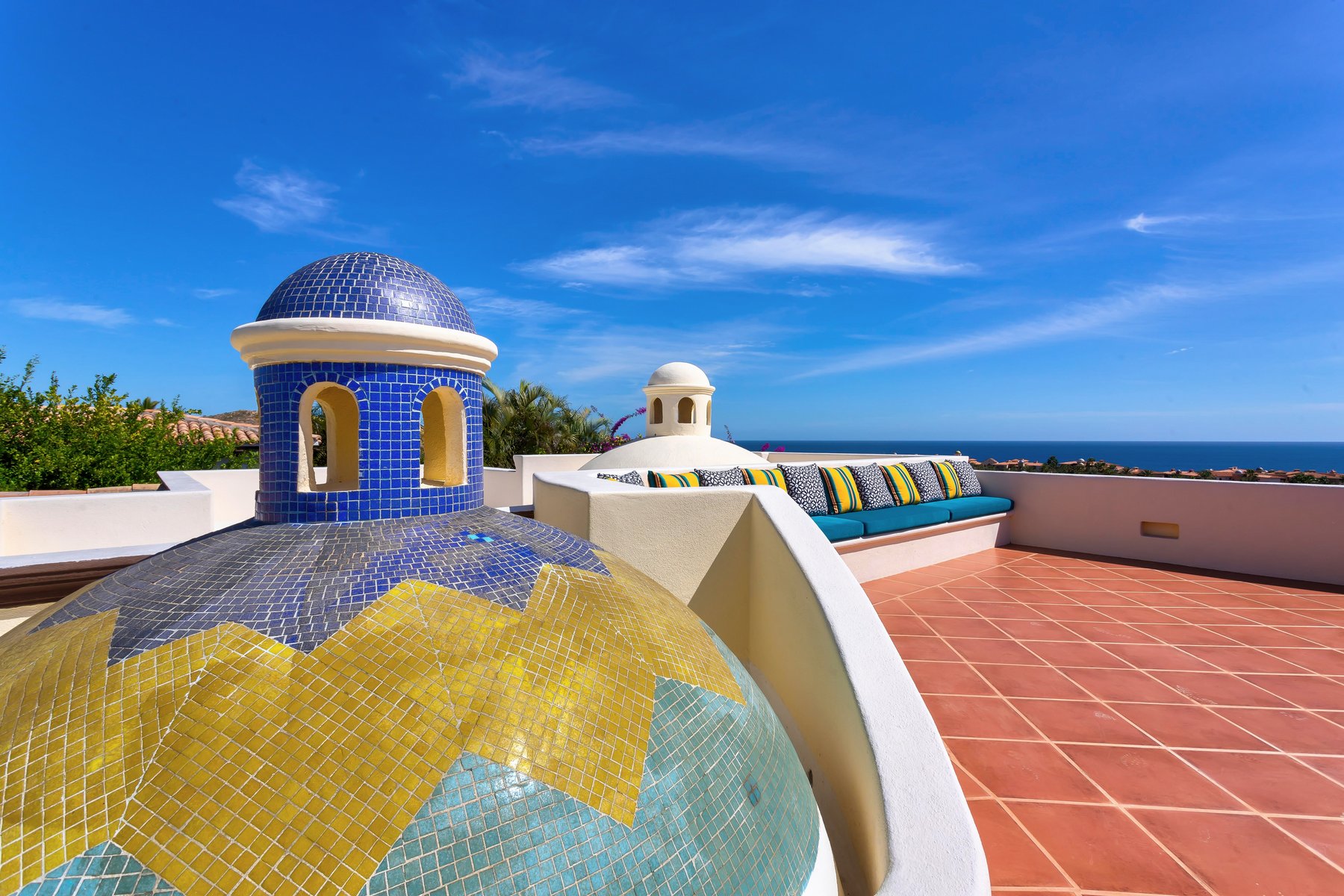 Agave Azul | Photo 64