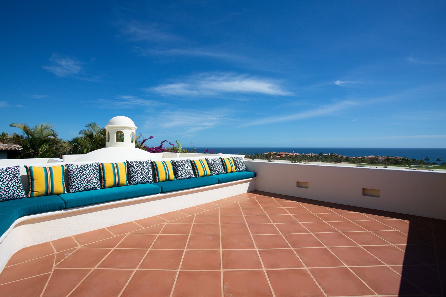 Agave Azul | Photo 63