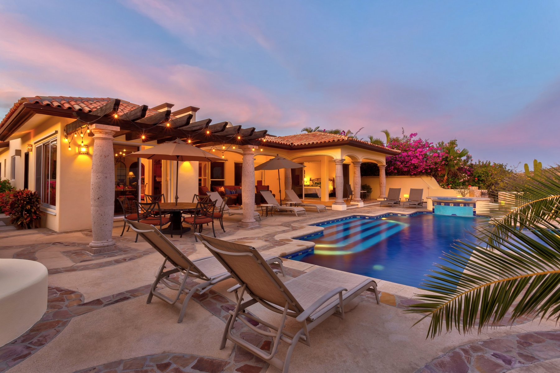 Agave Azul | Photo 81