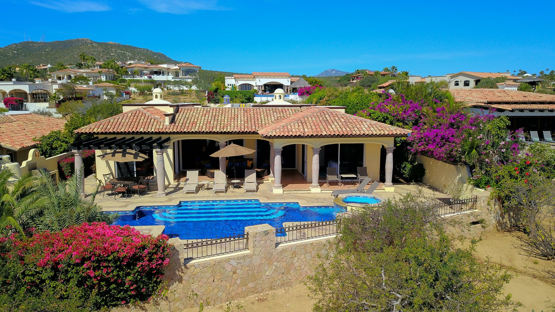 Agave Azul | Photo 65