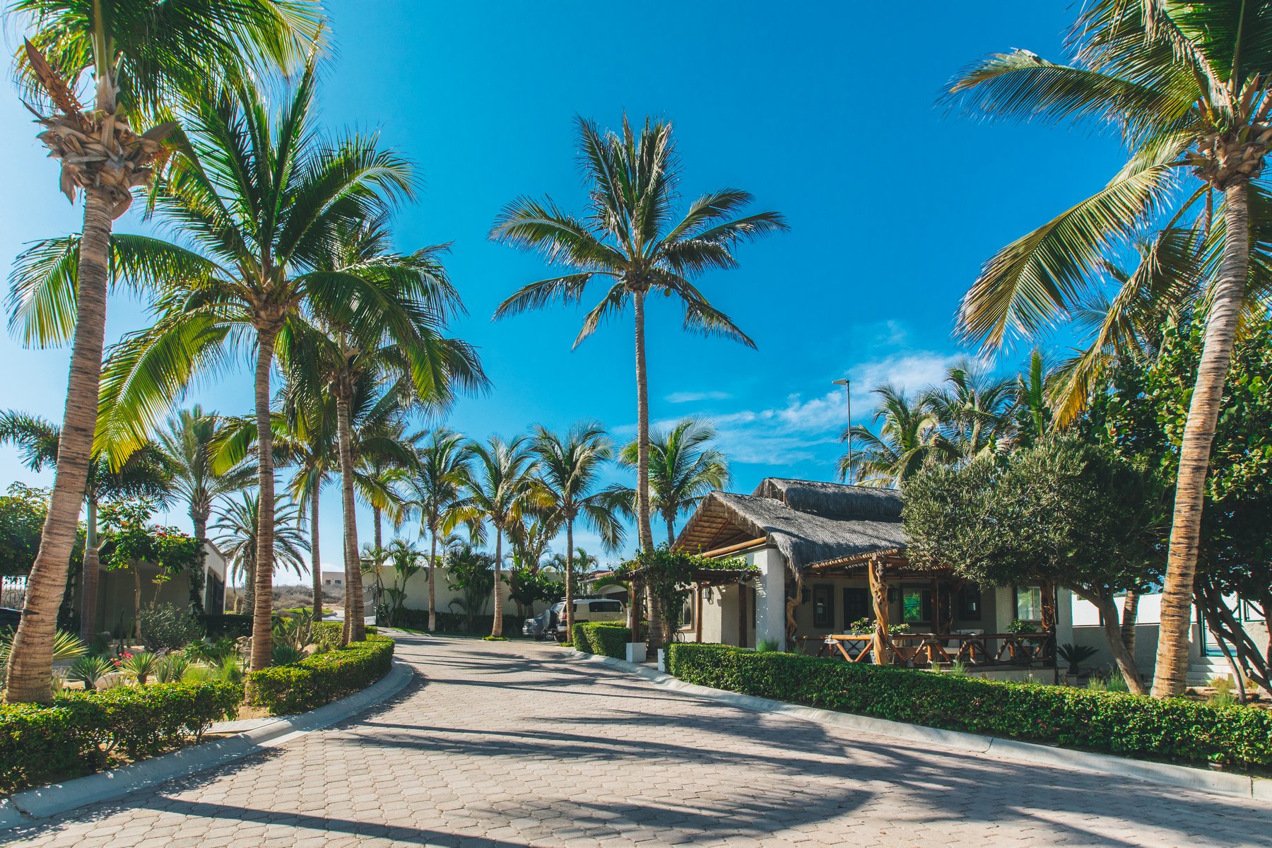 Casa Bellamar | Photo 66