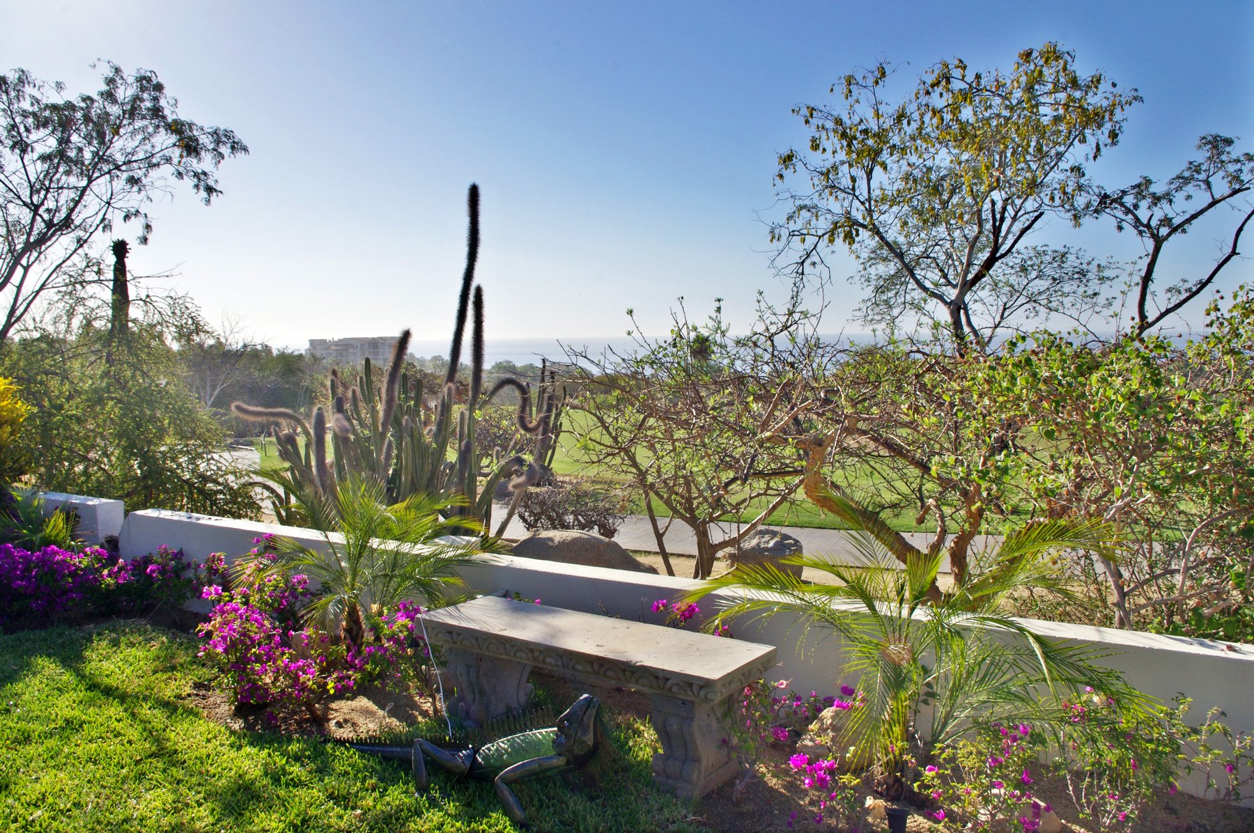 Casa Tortuga | Photo 11