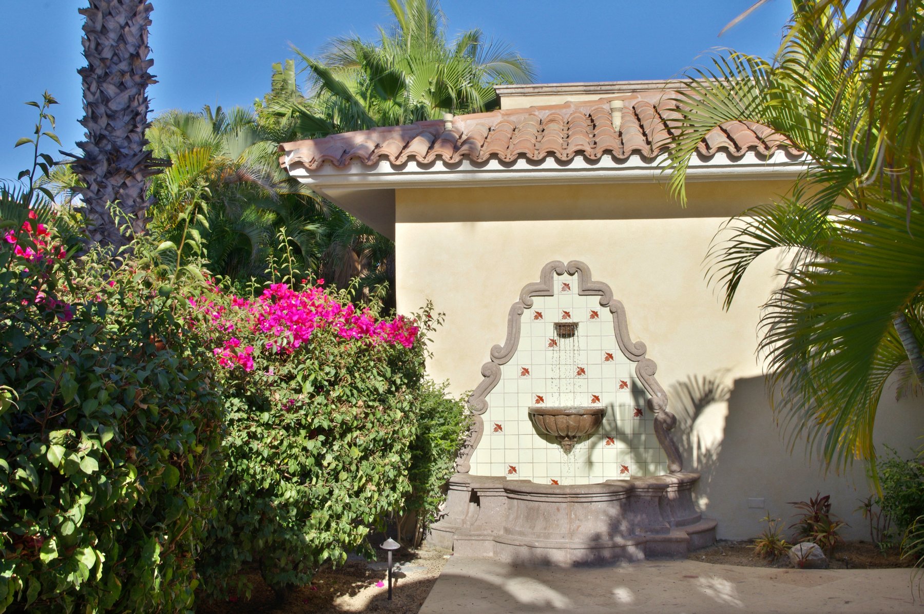 Casa Tortuga | Photo 21