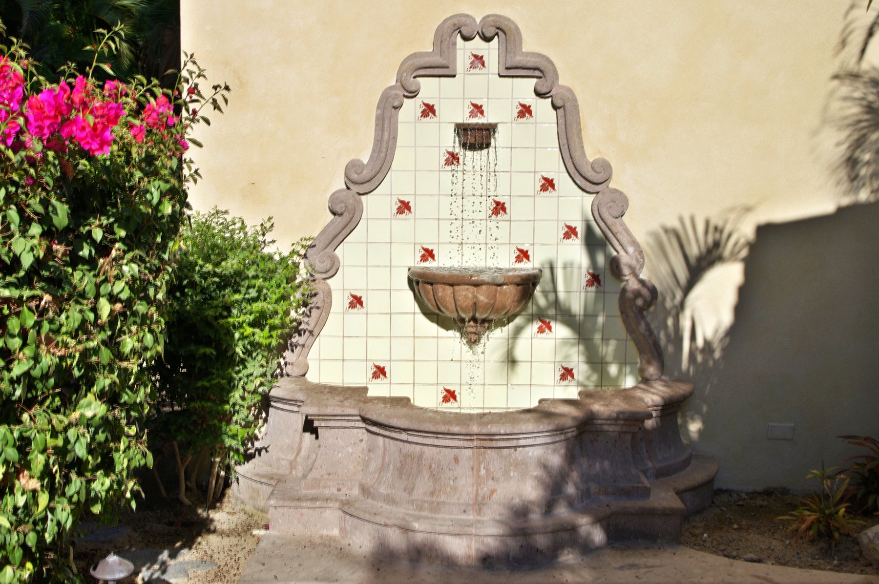 Casa Tortuga | Photo 22