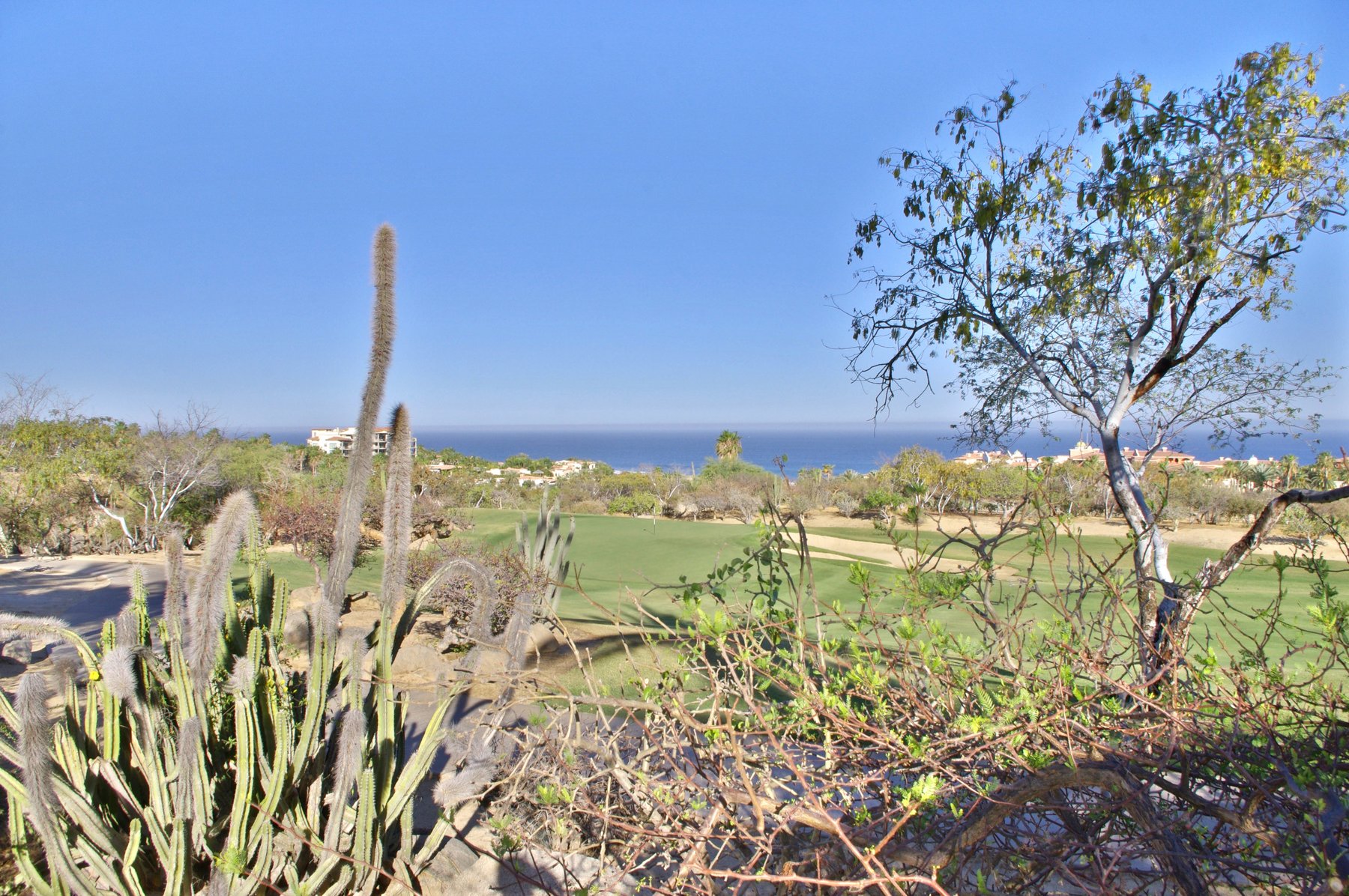 Casa Tortuga | Photo 28