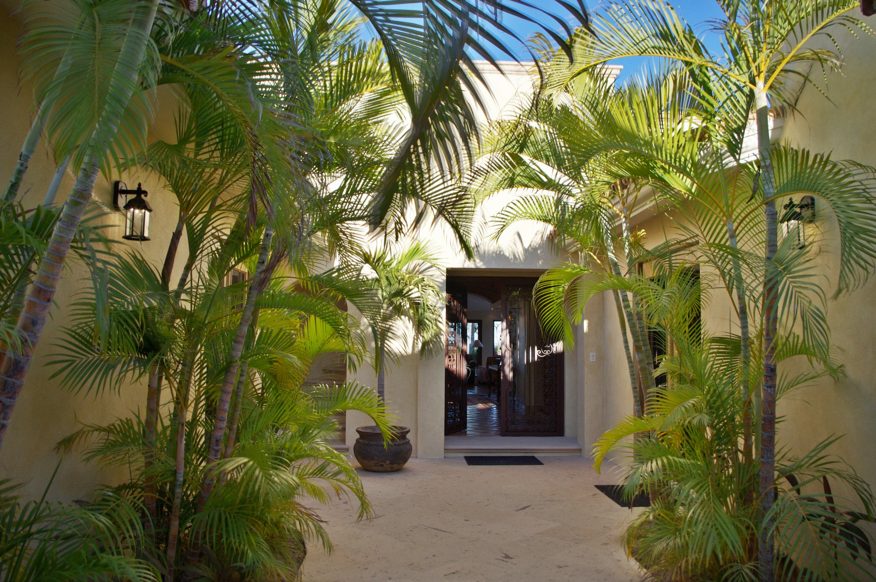 Casa Tortuga | Photo 31