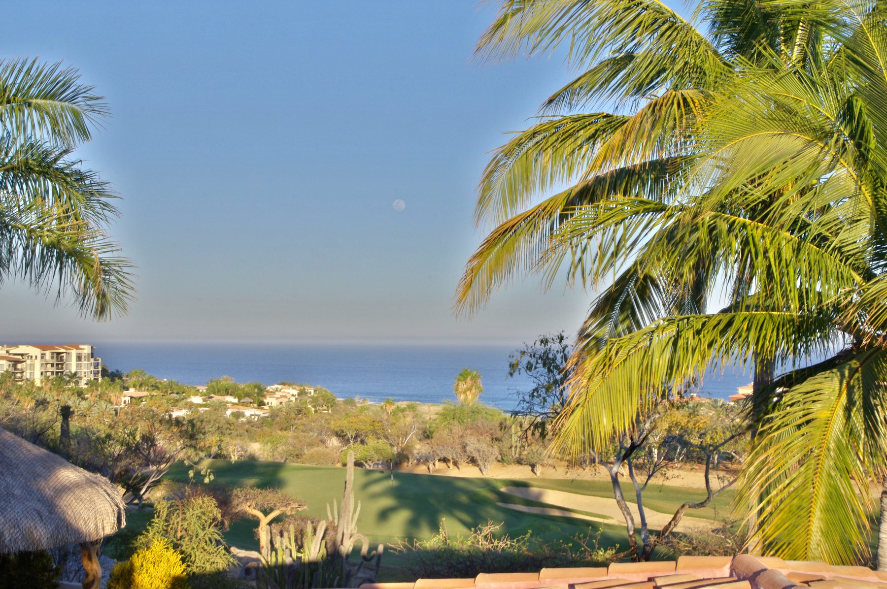 Casa Tortuga | Photo 33