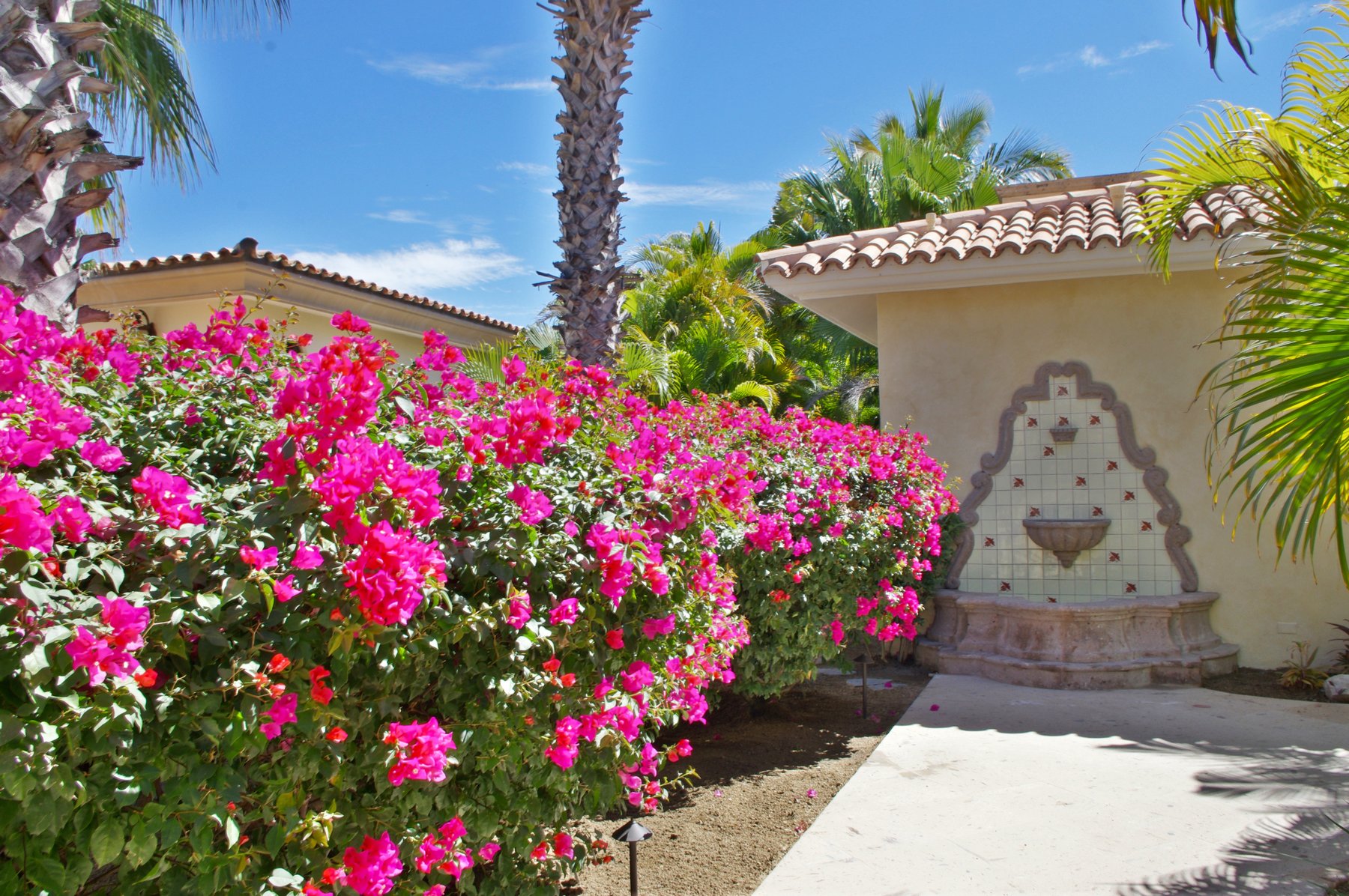 Casa Tortuga | Photo 67