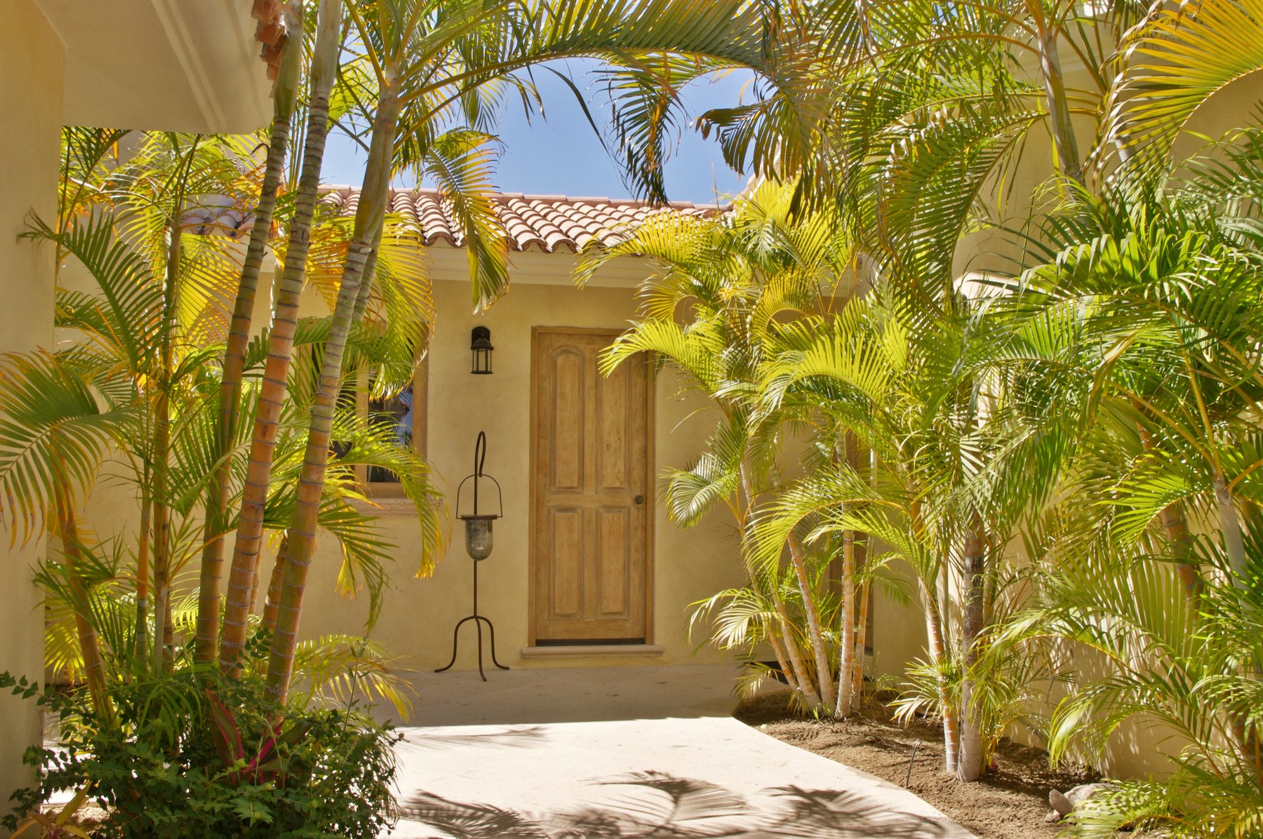 Casa Tortuga | Photo 68