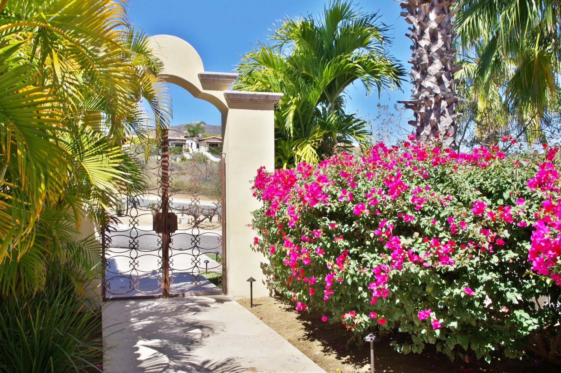 Casa Tortuga | Photo 69