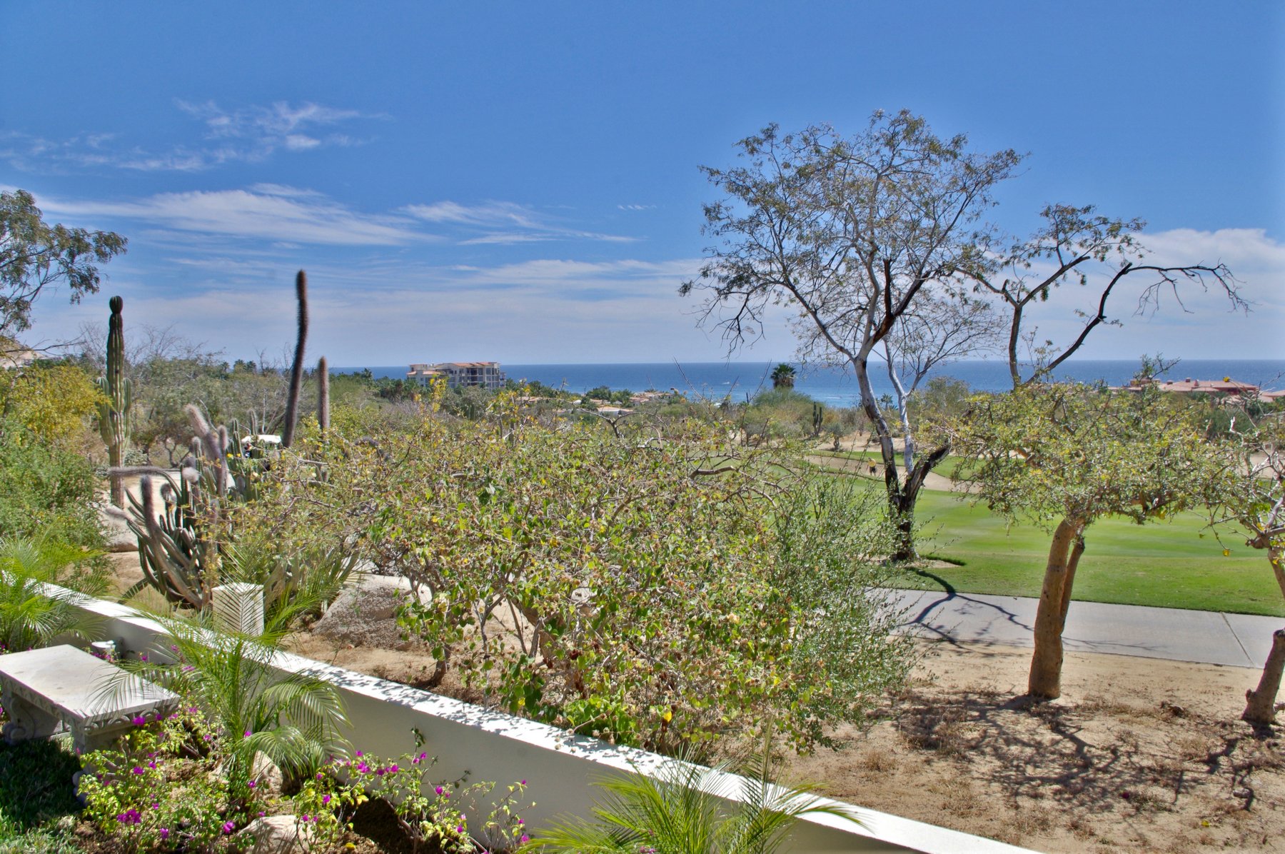 Casa Tortuga | Photo 76