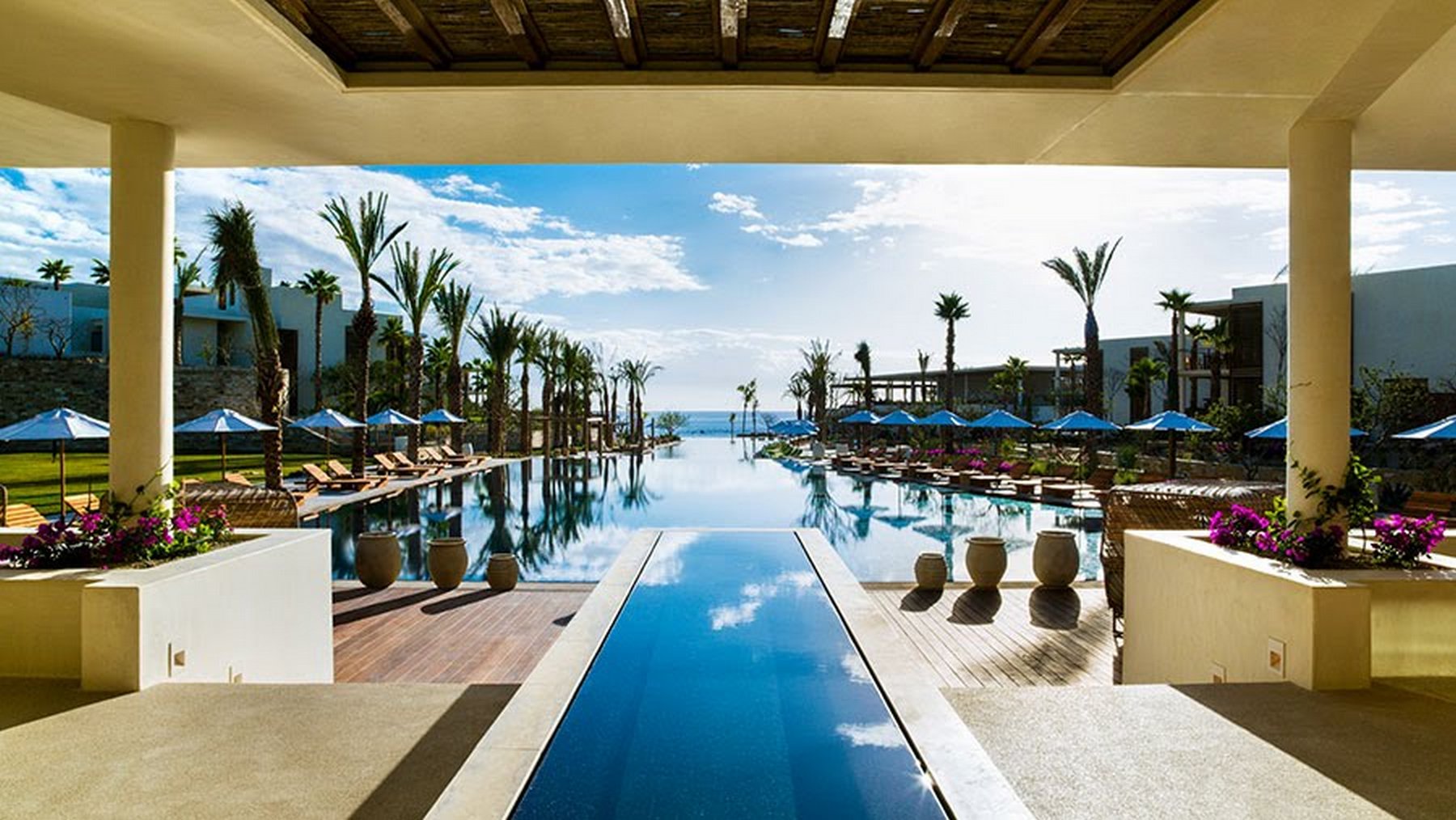 Chileno 5 Fresco | Photo 16