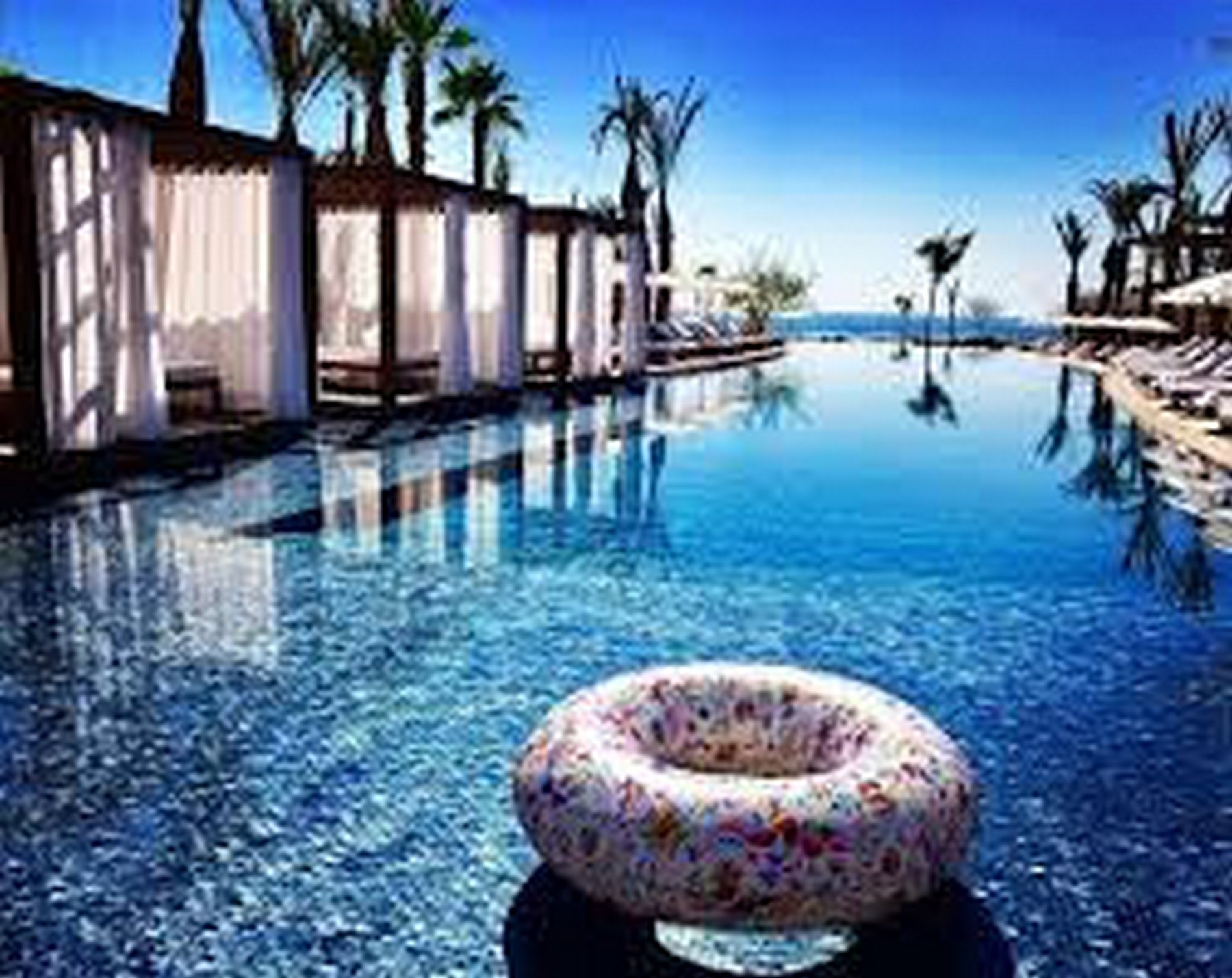 Chileno 5 Fresco | Photo 22