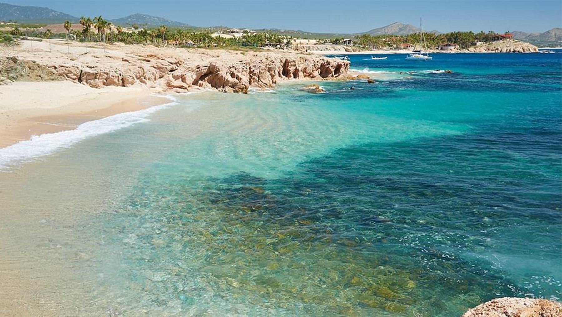 Chileno 5 Fresco | Photo 25