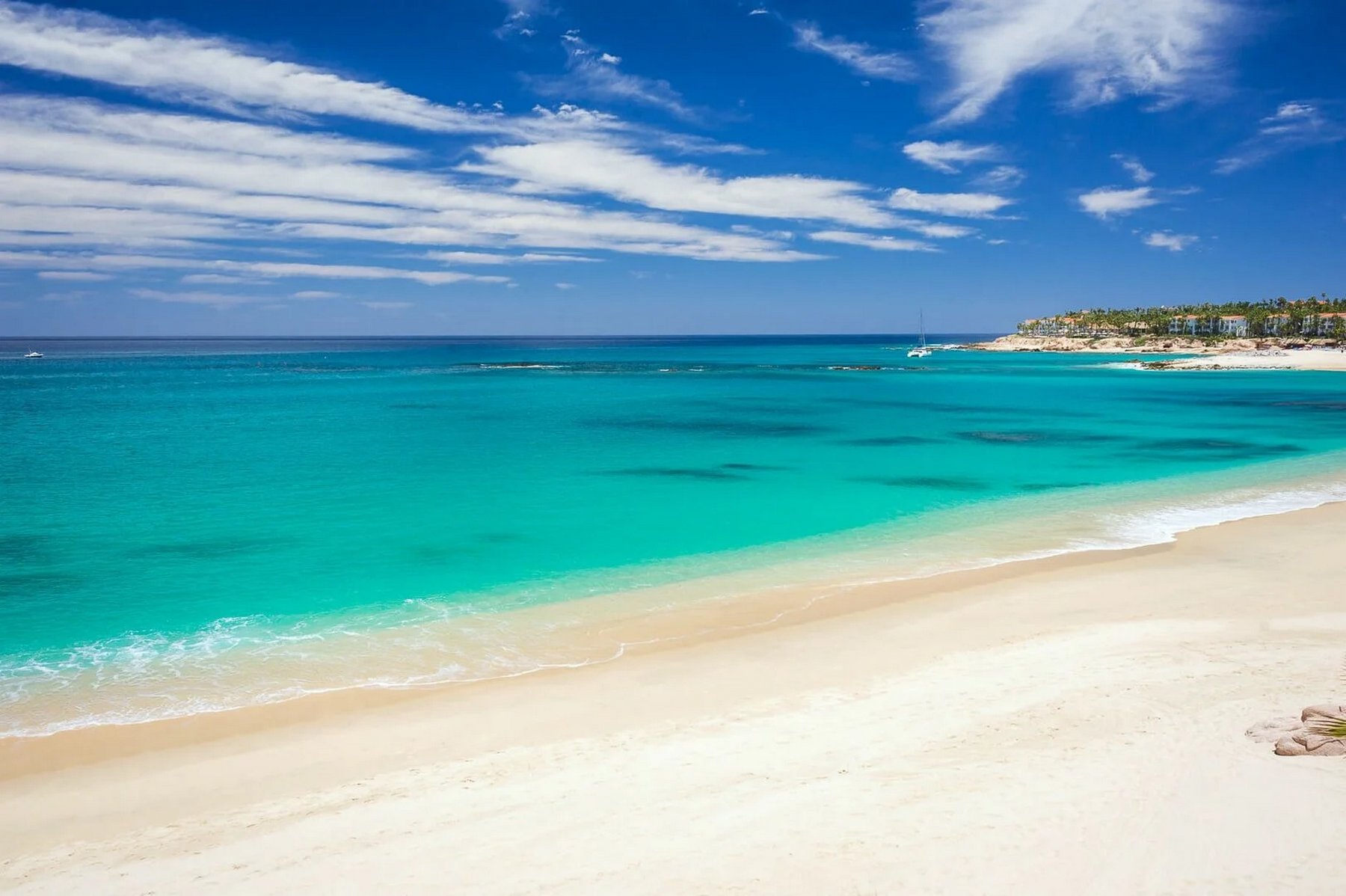 Koll Estate | Photo 21