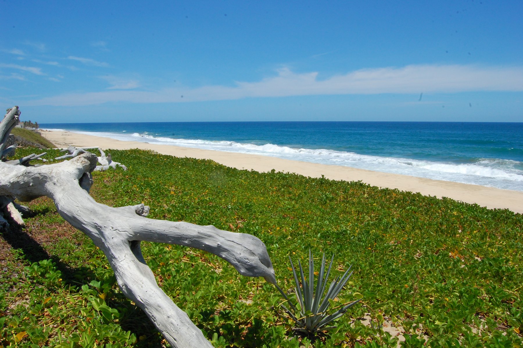 Villa Estero | Photo 19