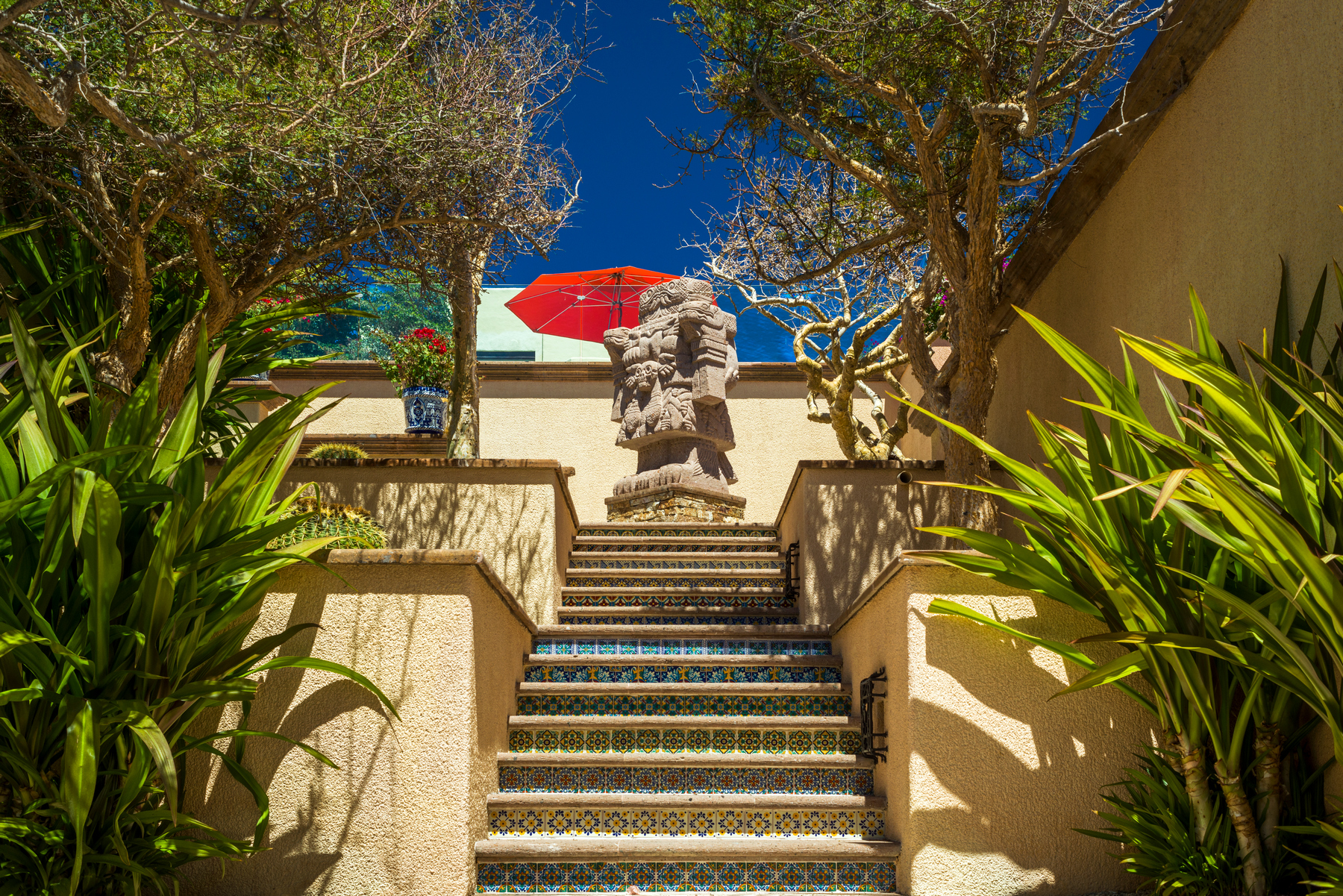Casa Hidalgo | Photo 6