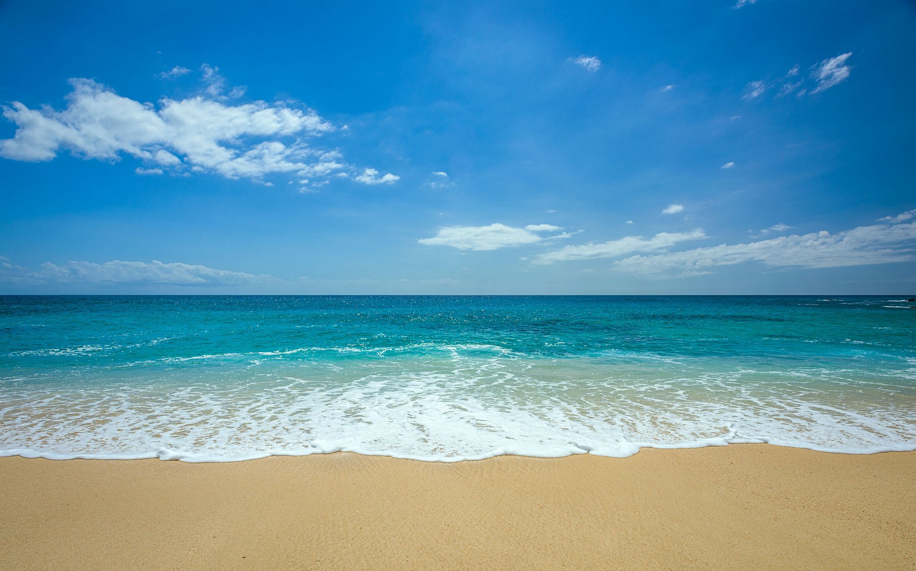 Casa Edwards Too | Photo 43