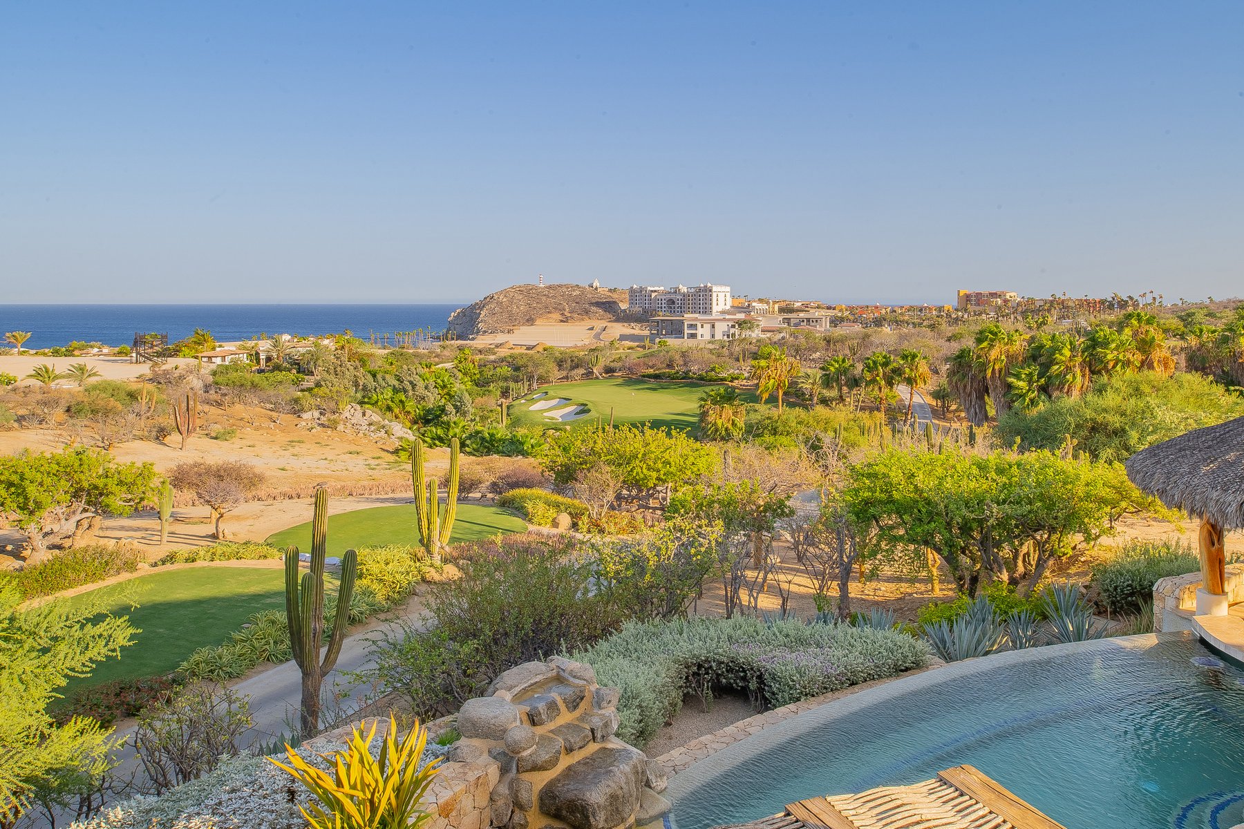 Palmaritos 5 | Photo 22