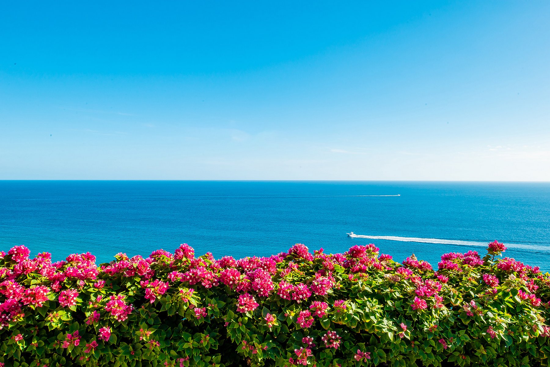 Villa Bellissima | Photo 75